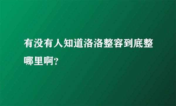 有没有人知道洛洛整容到底整哪里啊？