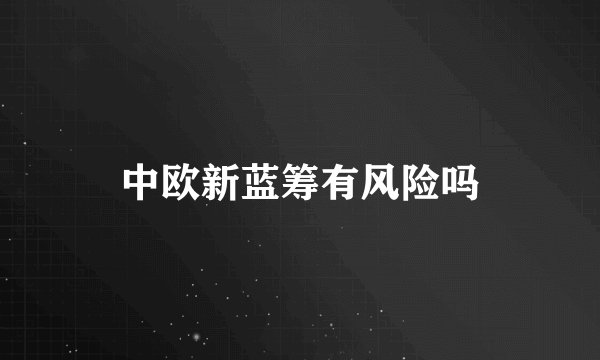 中欧新蓝筹有风险吗