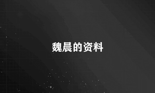 魏晨的资料