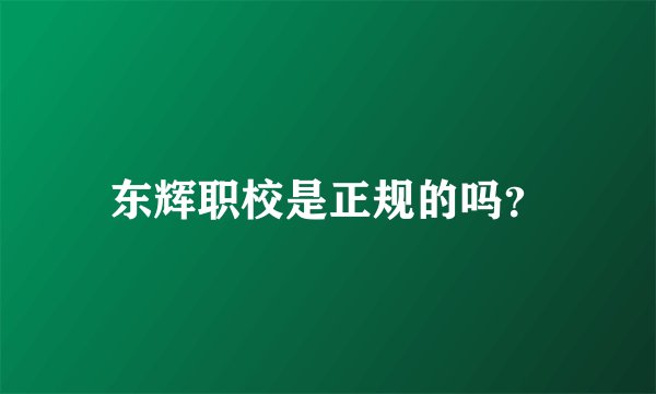 东辉职校是正规的吗？