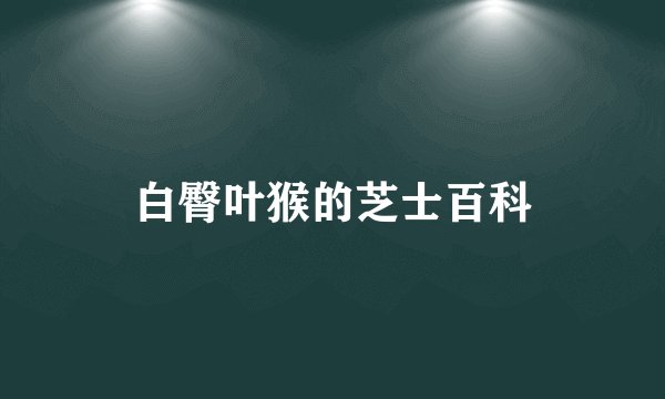 白臀叶猴的芝士百科