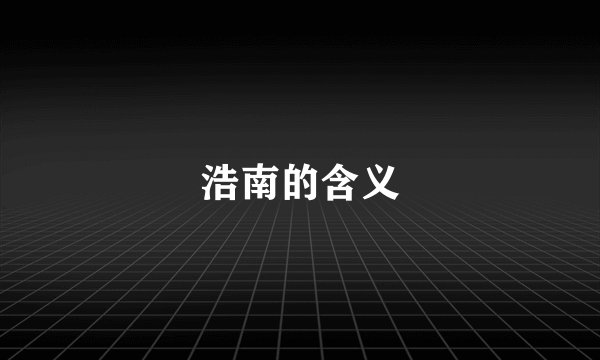 浩南的含义