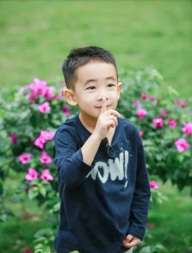 如何看待《爸爸去哪儿》中Jasper读香港名校这件事？