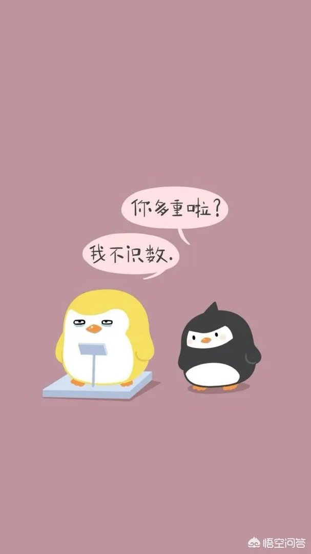 有哪些搞笑的手机壁纸?