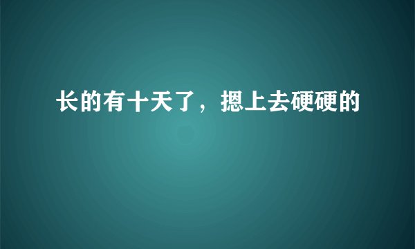 长的有十天了，摁上去硬硬的