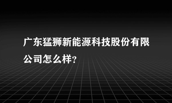广东猛狮新能源科技股份有限公司怎么样？