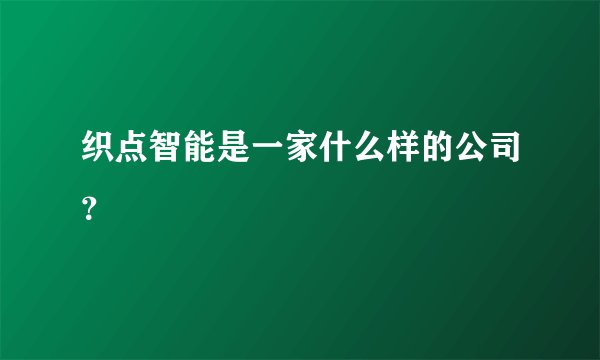织点智能是一家什么样的公司？