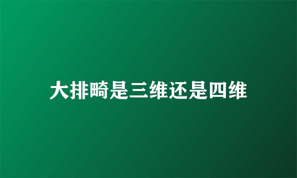 大排畸是三维还是四维