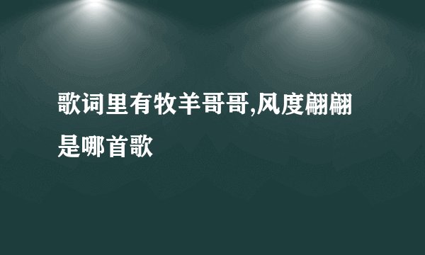 歌词里有牧羊哥哥,风度翩翩是哪首歌