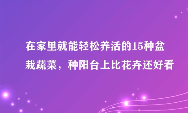在家里就能轻松养活的15种盆栽蔬菜,种阳台上比花卉还好看