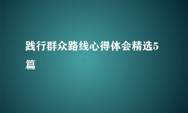 践行群众路线心得体会精选5篇