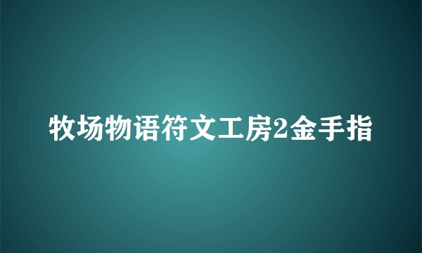 牧场物语符文工房2金手指