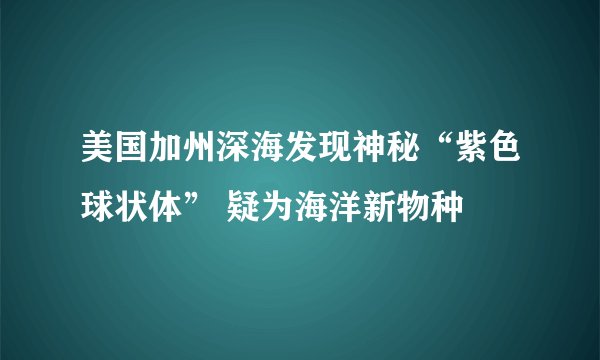 美国加州深海发现神秘“紫色球状体” 疑为海洋新物种