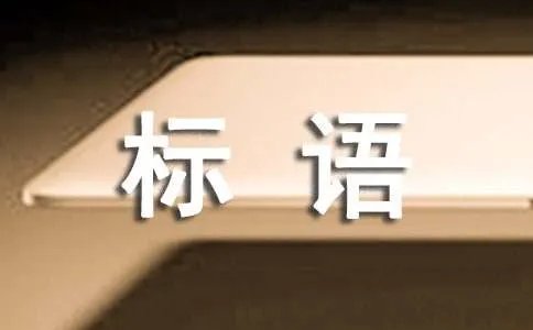 适用于锦旗的标语