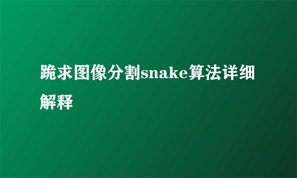 跪求图像分割snake算法详细解释