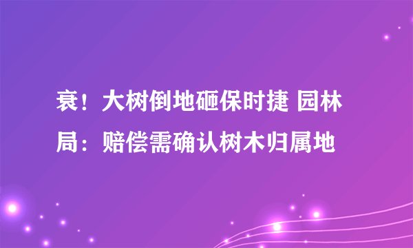 衰！大树倒地砸保时捷 园林局：赔偿需确认树木归属地