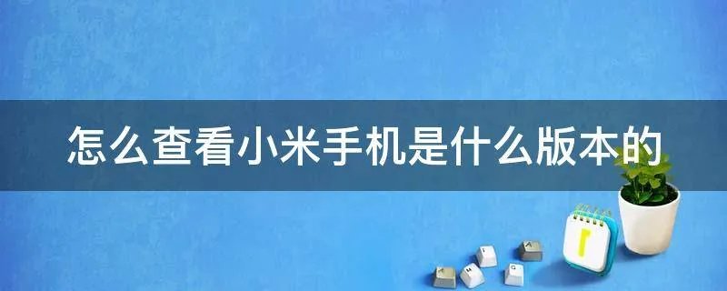 怎么查看小米手机是什么版本的