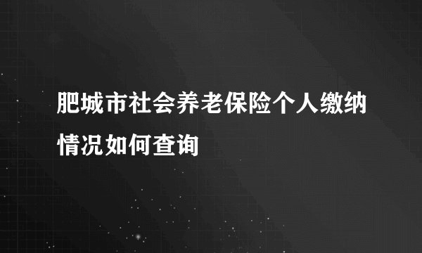 肥城市社会养老保险个人缴纳情况如何查询