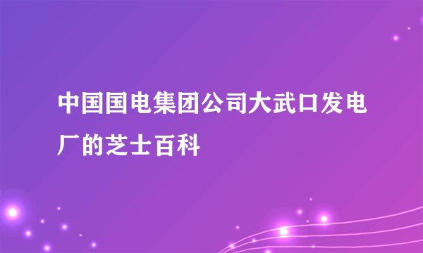 中国国电集团公司大武口发电厂的芝士百科
