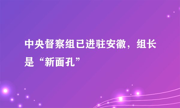 中央督察组已进驻安徽，组长是“新面孔”