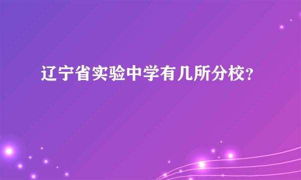 辽宁省实验中学有几所分校？