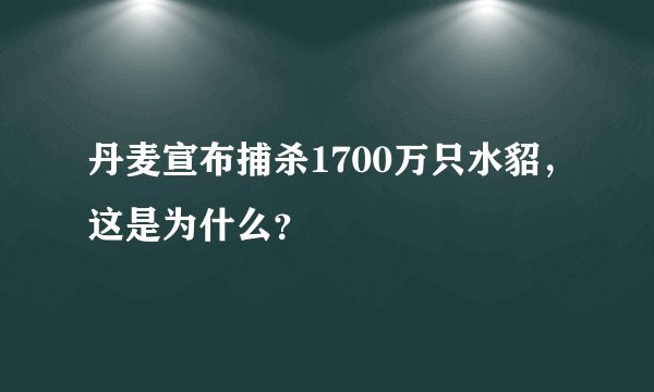 丹麦宣布捕杀1700万只水貂,这是为什么?