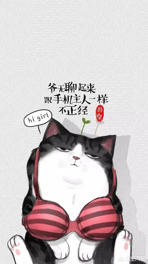 有哪些搞笑的手机壁纸?