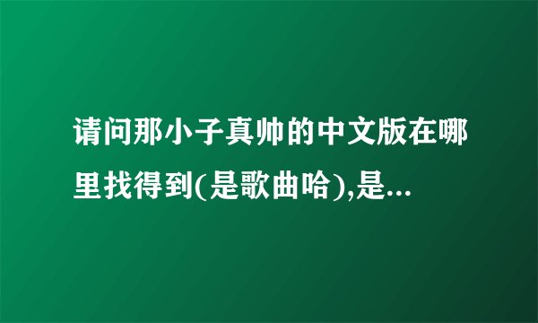 请问那小子真帅的中文版在哪里找得到(是歌曲哈),是哪个唱的,歌词是啥子