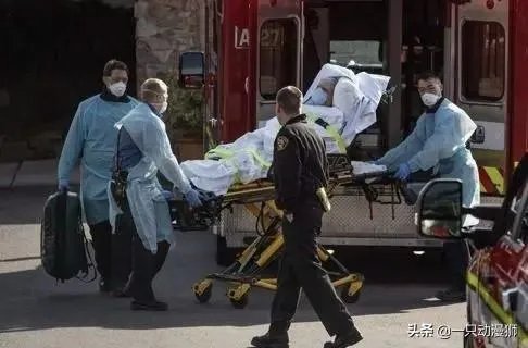 美国宣布进入紧急状态,当地华侨应该怎么团结自救?