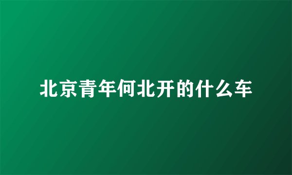 北京青年何北开的什么车