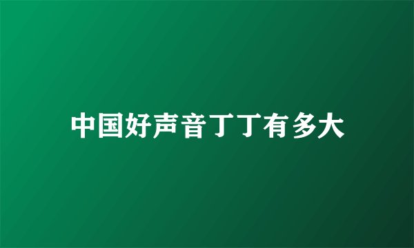 中国好声音丁丁有多大