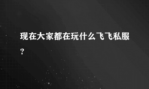 现在大家都在玩什么飞飞私服？