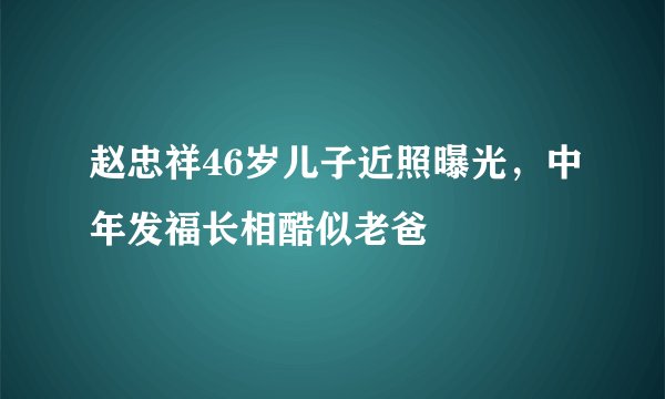 赵忠祥46岁儿子近照曝光，中年发福长相酷似老爸