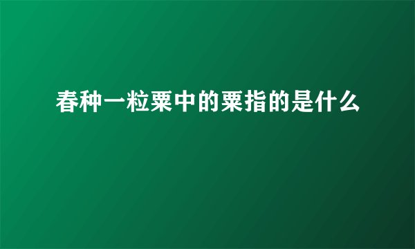 春种一粒粟中的粟指的是什么