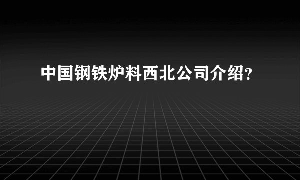 中国钢铁炉料西北公司介绍？