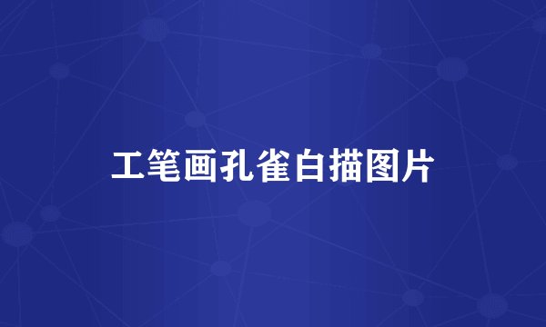 工笔画孔雀白描图片