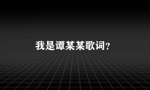 我是谭某某歌词？