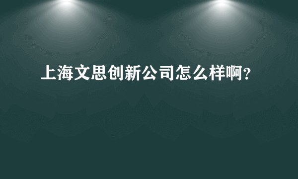 上海文思创新公司怎么样啊？