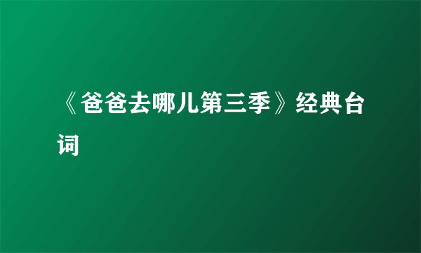 《爸爸去哪儿第三季》经典台词