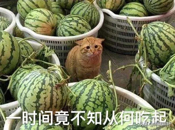 大学生喜欢吃什么?