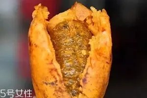 牛卵坨籽可以吃吗?看看它的神奇功效