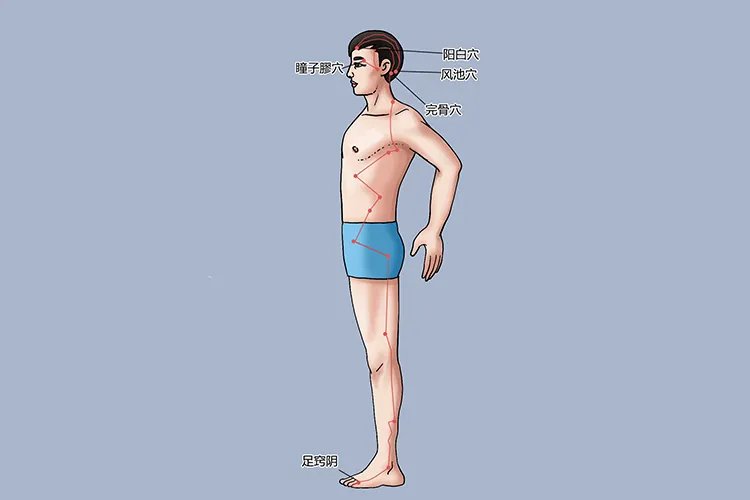 膝盖经络图解大全
