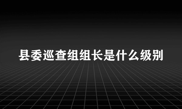 县委巡查组组长是什么级别