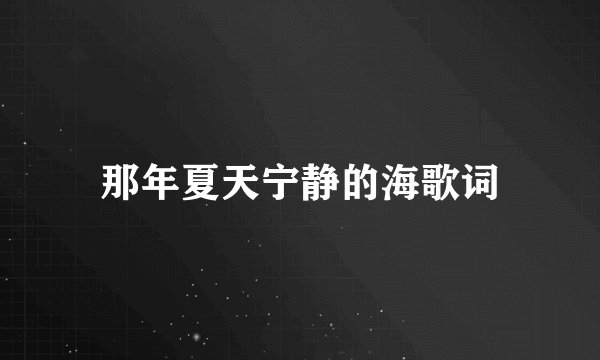 那年夏天宁静的海歌词