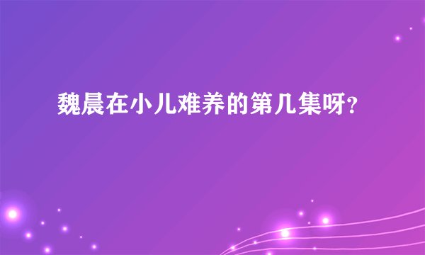 魏晨在小儿难养的第几集呀？