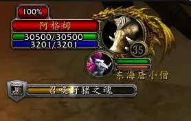 野猪之魂/灵魂野猪在哪抓?