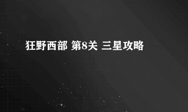 狂野西部 第8关 三星攻略