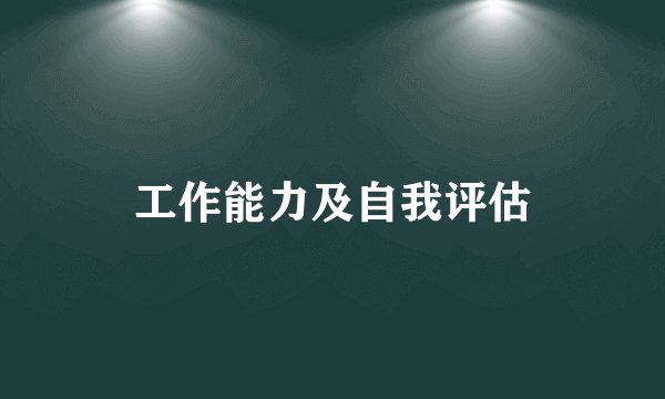 工作能力及自我评估