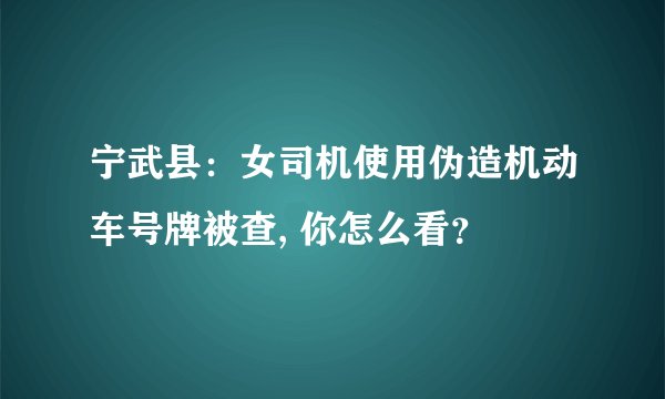 宁武县：女司机使用伪造机动车号牌被查, 你怎么看？