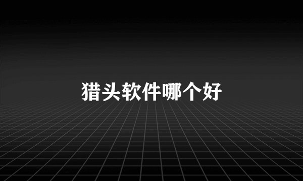 猎头软件哪个好